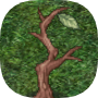 Small Water Lily Tree