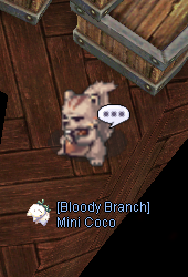 Mini Coco