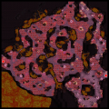 Thumbnail for version as of 02:07, 18 April 2026