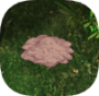 Face04.png